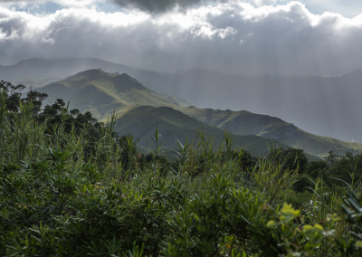 Région de Castagniccia, Corse