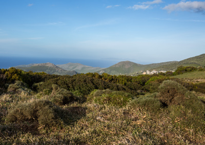 Près du moulin Mattei