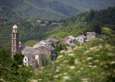 Région de Castagniccia, Corse