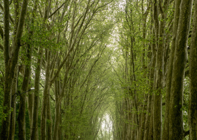 Région de Vienne, France